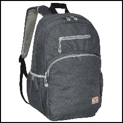 R5045LT - Stylish Laptop Backpack